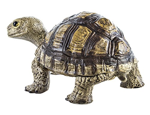 Safari Ltd  Incredible Creatures Tortoise