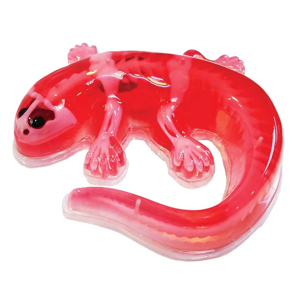 SLIMY Experiment Set Salamander - Original Slime Set, Slime Laboratory, Award-winning STEM/Mint Educational Toy, with Play Clay and Dicing Tool (Toy from 6 Years)