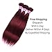 Aigemei Hair Peruvian 3 Bundles Straight Hair With'' Closure Burgundy #33 Burgundy Human Hair Bundles Straight Hair Weave 14 16 18+10