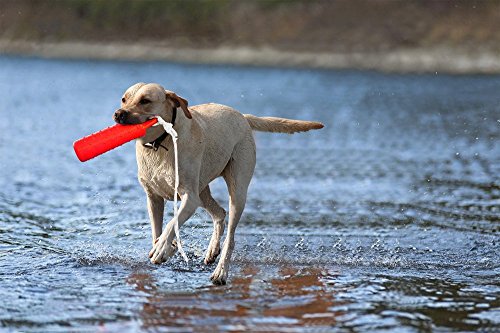 Dog Retriever Training Dummy Retrieving Bumpers Pool Toy
