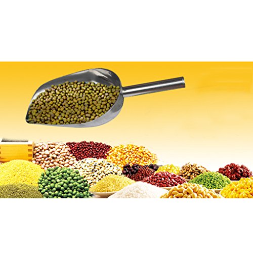B Blesiya Multi-function Stainless Steel Ice Scoop Dry Wet Goods Flour Shovel Tool 9'' - Thumbnail 4