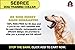 Sebree Pet Supplies {New 2018 Anti-Error CHIP} Ultimate NO BARK, NO Shock Dog Training Collar Humane & Cruelty Free Rechargeable Adjustable Automatic Sound & Vibration for All Dogs