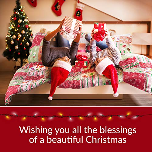 Bedsure Christmas Quilt Set King Size (106x96 inches) Multicolor