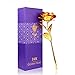 Lemonbest 24K Gold Plated Rose Flower Creative Thanksgiving Mother's Day Valentine's Day (Golden)