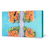 signwin-Canvas Wall Art-Aerial Photo-Canvas Prints Home Artwork Decoration for Living Room,Bedroom - 12x18 inches