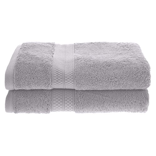 Superior Collection Rayon from Bamboo and Cotton Soft/Absorbent Bath Towels (Set of 2), Chrome