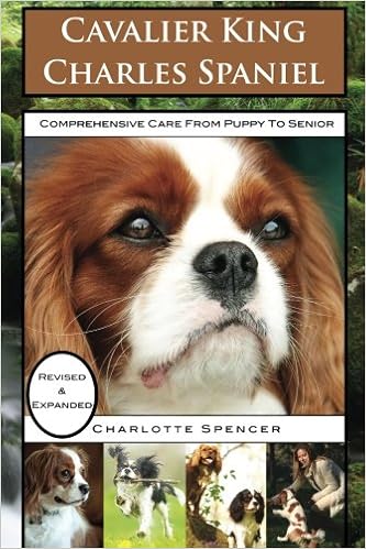 king charles spaniel training