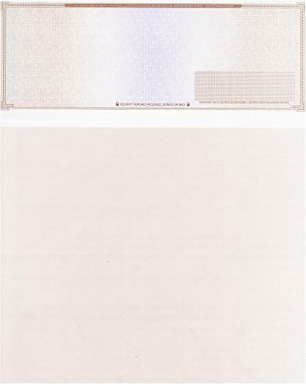 50 High Security Blank Check Stock - Computer