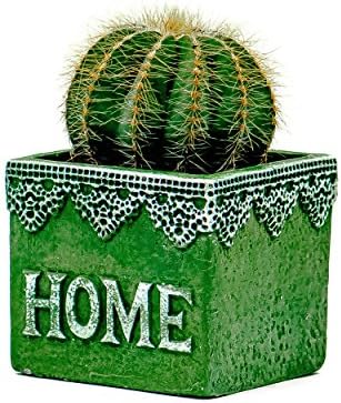 Succulent Planter / Cactus Planter. 3.25 Inch Green Cement Container Flower Pot Stamped with 'Home' - by TERRARIUMS FOR SALE