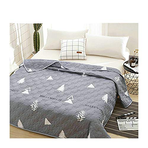 KFZ Quilt Comforter Cotton Bedspread for Bedding Set Breathable Ultrasound Quilted Quilt HDD Twin Full Queen Popular Cartoon Design for Adults Kids Baby 1pc (Forest World, Grey, Twin, 59"x79")