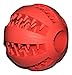 Nibble Pet Products Healthy Teeth Interactive Dog Toy Chew, Red