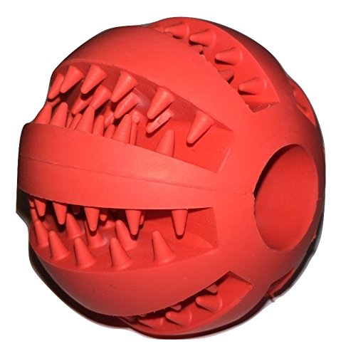 Nibble Pet Products Healthy Teeth Interactive Dog Toy Chew, Red