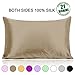 Ravmix Silk Pillow Cases with Zipper, 21momme Mulberry Silk Pillowcase for Hair Skin Health, Soft Smooth Breathable Cool Pillow Cover for Beauty Sleep with Gift Box 1PC(Queen 20