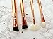 ZOEVA Rose Golden Luxury Set VOL. 3 Gracious Glamour 8 Essential Face and Eye Brushes For Your Daily Makeup Routine