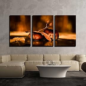 3 Piece Canvas Wall Art - Still Life - Modern Home Art Stretched and Framed Ready to Hang - 16"x24"x3 Panels