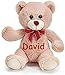 Burton & Burton Personalized Valentine's Day Sitting Small Beige Tan Teddy Bear with Red Bow Plush Stuffed Animal Toy for Boys or Girls with Custom Name - 7 Inches