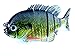 Soljer Blue Gill Sun Fish Panfish Talipia for Bass Fishing Lure (Blue Gill)