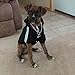 LesyPet Big Dog Hoodies Sports Clothes, 5XL, Black