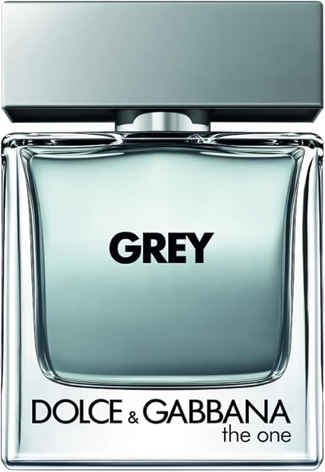 dolce & gabbana the one gray