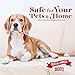 Nature's Miracle Dog Stain and Odor Remover Pour