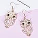 Owl Dangle Earring for Women,Hypoallergenic Rose Gold and Silver Plated Drop Earrings with Shining Crystal (Rose Gold)