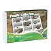 Educational Insights Fossil Collection, Ages 8 and up, (9 Pieces with Storage Tray)