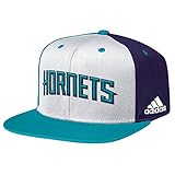 NBA Charlotte Hornets Men's Team Nation Snapback Cap, White, One Size