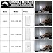 MAXvolador Dimmable E12 Candelabra LED Bulbs 40W Equivalent, Daylight White 5000K, 4W Filament LED Chandelier Light Bulbs, B11 Vintage Edison Clear Candle lamp, Decorative Candelabra Base, Pack of 12