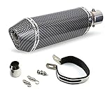 Templehorse Carbon Fiber 1.5-2"Inlet Exhaust Muffler with Removable DB Killer for Street/Sport Motorcycles and Scooters with 38-51mm diameter exhaust pipes.