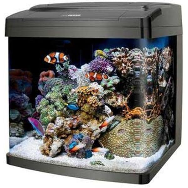 biocube accessories