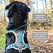 Kurgo Dog Harness for Large, Medium & Small Dogs, Reflective Harness for Running, Walking & Hiking, Everyday Adventure Pet Journey Air Style, Black, Blue, Red