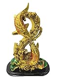 Symbolism of Double Two Golden Fishes in Feng Shui