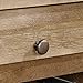 Sauder Dakota Pass Night Stand, Craftsman Oak finish