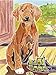 Ravensburger Aquarelle Puppies - Arts and Crafts Kit