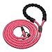Joytale Dog Slip Leash Rope - Reflective Training Leads for Small Medium Large Dogs - 3/8 inch by 6 Feet - Pink
