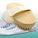 BODY BRUSH for Skin Cleansing - Natural Organic Bristles & Pouch for Travel | Radiant Glowing Healthy Look | SCRUB & EXFOLIATE for Better Health and Beauty | Bath or Shower | Wet & Dry | 2 for 1 SALE!