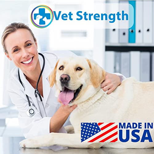 BEXLEY LABS Curaseb Medicated Shampoo for Dog & Cats Treats Skin