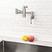 Wall Mount Pot Filler - Sarlai Pot Filler Stove Faucet Wall Mounted Solid Brass Brushed Nickel Foldable Double Joint Swing Arm Two Handle Kitchen Sink Faucet