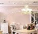 Woaills 1Set Luxury Crystal Glass and Stainless Steel Wire Beads Door String Tassel Curtain Wedding Divider Panel Room Home Decor 1 M (Clear)