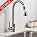 Best Commercial Stainless Steel Single Handle Pull Out Sprayer Brushed Nickel Kitchen Faucet, Pull Down Kitchen Faucets