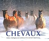 Chevaux : Grâce, intelligence et noblesse d'un animal majestueux by