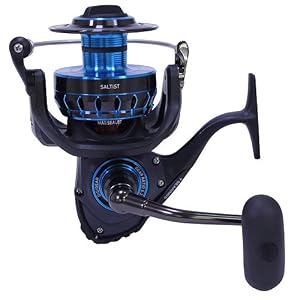 Daiwa Ssaltist Moulinet