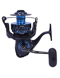 Daiwa Saltist 5.3:1   Carrete giratorio