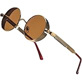 HJSTES Vintage Round Steampunk Sunglasses for Women Men Circle Gothic Glasses Retro Metal Frame