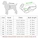 Didog Reflective Dog Winter Coat Sport Vest Jackets Snowsuit Apparel - 8 Sizes Available For Small Medium Large Dogs,Blue,4XL Size
