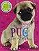 Pug Sticker Activity Book