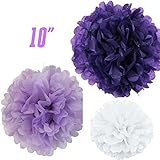 WOM-HOPE® 15 Pack - 10 Inches Tissue Paper Pom Pom Flower Ball Pom-poms - Wedding Party Supplies Decorations Birthday Parties and Baby Showers Party Decorations Party Tissue Pom Poms (Light Purple)