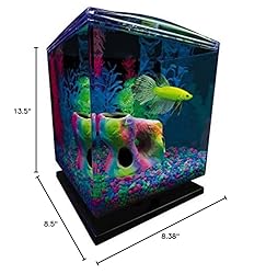 GloFish Betta Aquarium Kit 1.5 Gallons, Easy Setup