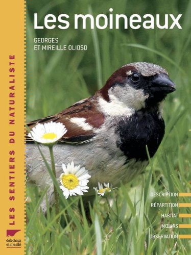 Les  moineaux