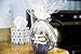 10 Pcs Clear Cellophane Bags - 1.2 MIL Glossy Cello Bag for Gift Basket Packaging High Quality Transparent Extra Large for Birthday Parties Wedding Favors Bridal Showers - by Priti Parti (24x30)